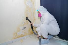 Biohazard Mold Removal in South Fulton, GA